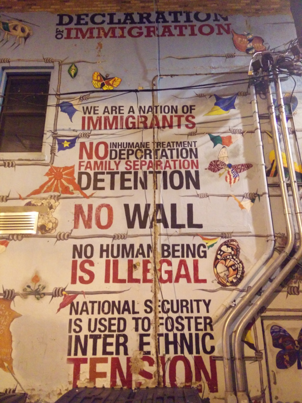 The declaration of immigration