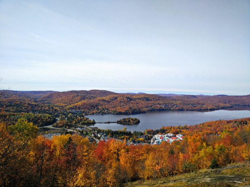 A mountain covered with red and gold trees